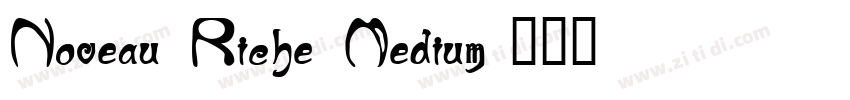 Noveau Riche Medium-字体转换